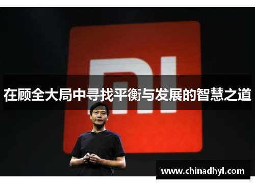 在顾全大局中寻找平衡与发展的智慧之道